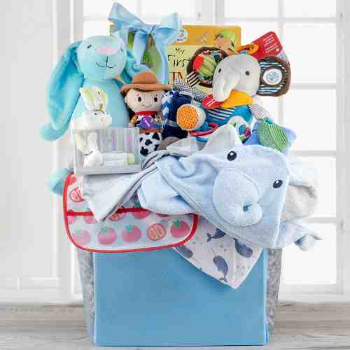 - Gift Baskets For Infants To  Delaware | Baby Grand Gift Baskets