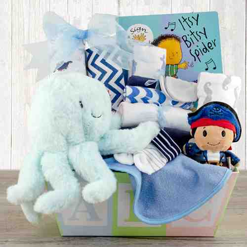 Welcome Baby Basket-Gift Baskets For Infants To  Florida