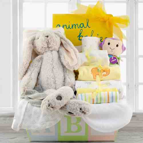 Welcome Baby Hamper-Baby Hamper Send To Iowa