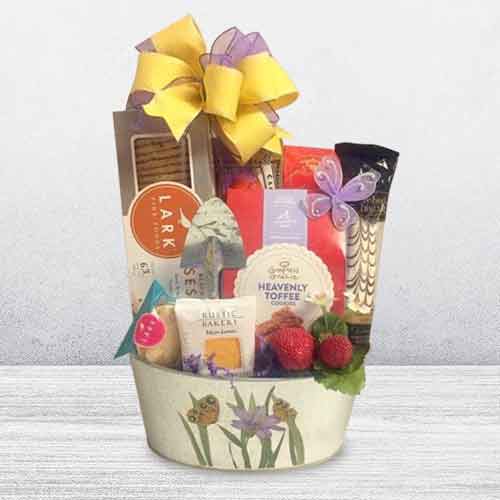 Get Well Soon Gifts for Women Sympathy Gift Baskets Christmas