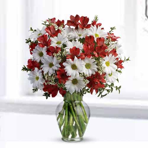 Pretty And Lovely Presentation-Order Daise Flower To USA