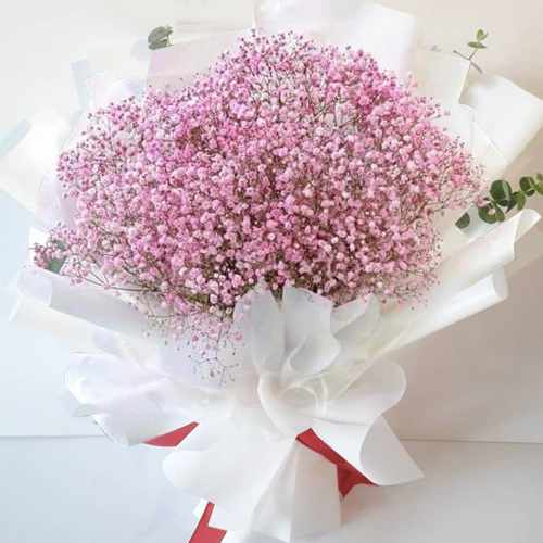 Pink Baby Breath Bouquet-Best Flower Bouquet For Girlfriend