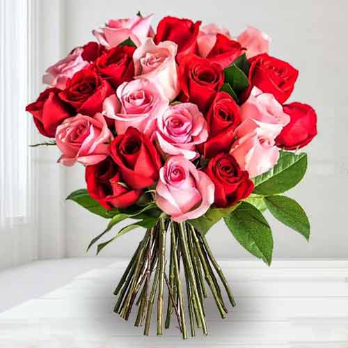 2 Dozen Red And Pink Roses-Cheap Valentine Flower Delivery