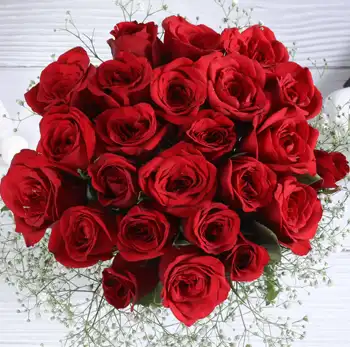 Red Roses